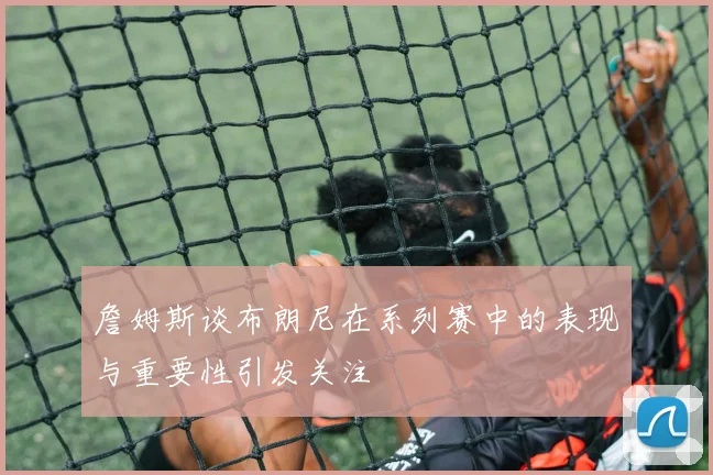 詹姆斯谈布朗尼在系列赛中的表现与重要性引发关注